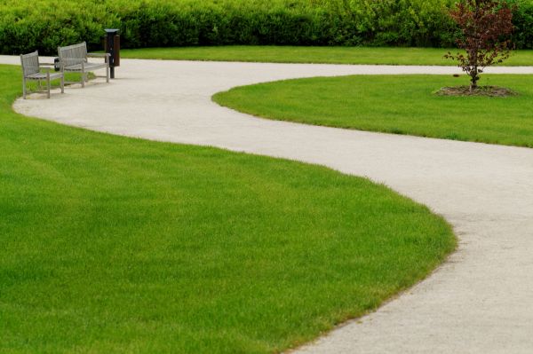 Cost of Concrete Walkway Installation in Seattle