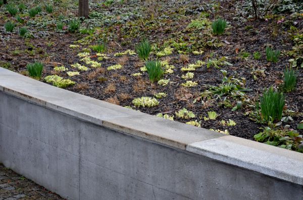 Cost of Concrete Wall Construction in Seattle