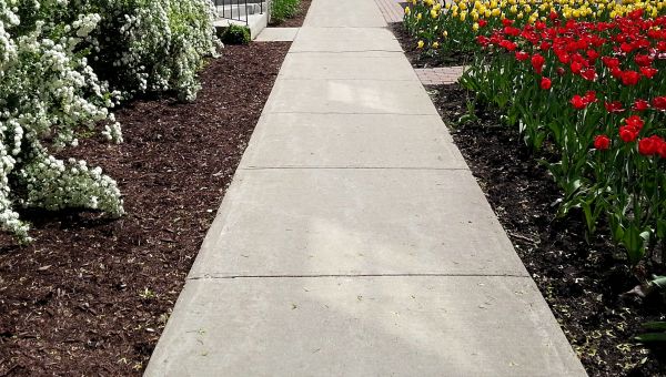 Cost of Sidewalk Slab Replacement in Seattle