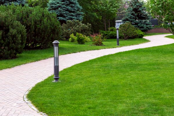 Cost of Backyard Sidewalk Installation in Seattle
